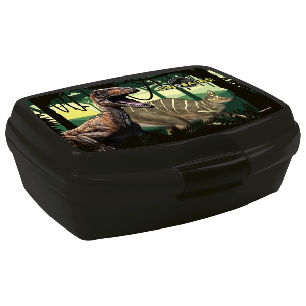 Śniadaniówka Dinozaur 15